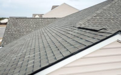 expert roof cleaning services